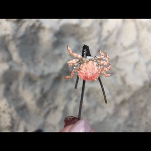 Meet your Posher, Belissa